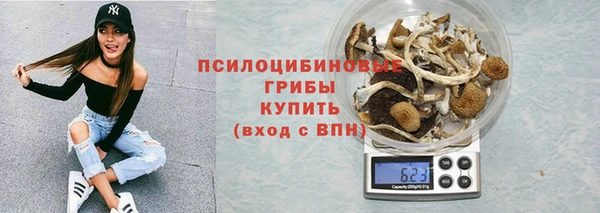 а пвп мука Алексеевка